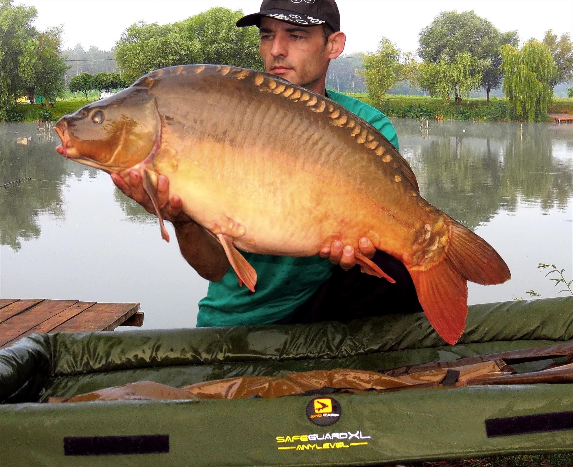 Palici - 003-img5622-1220-kg.jpg